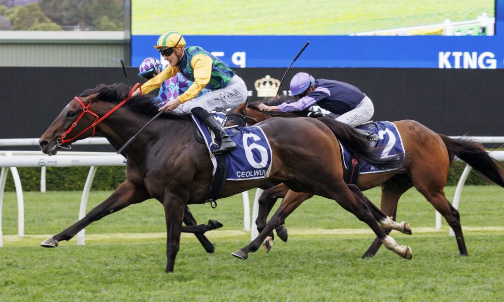 无论是传球 无论是传球